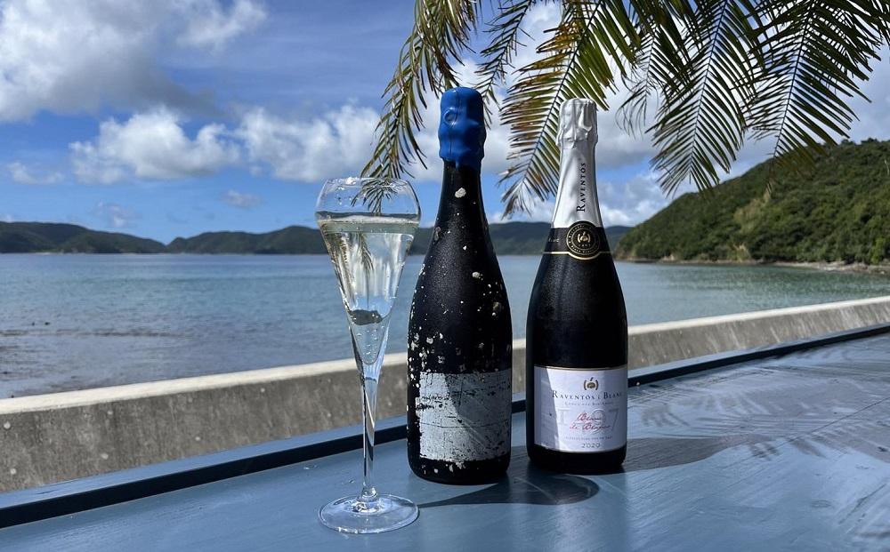 tlass SEA CELLAR -2024 1st Edition- 海底熟成スパークリングワイン 750ml×1本