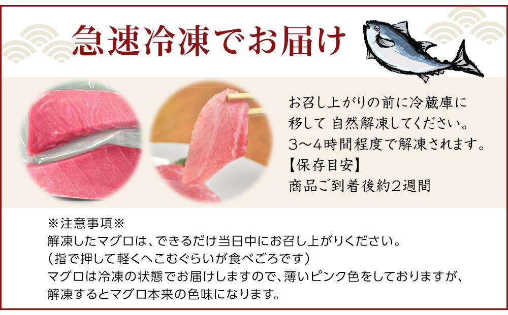 奄美大島産養殖クロマグロ 1,250g以上 まるごと満喫セット 柵5P他 大トロ 中トロ 赤身 かま ホホの身 大容量 冷凍