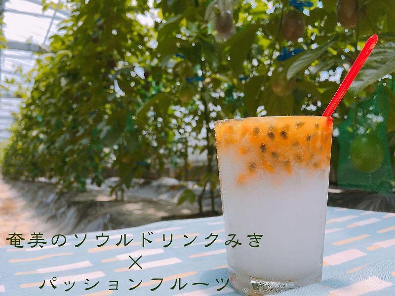 【先行受付】奄美大島 パッションフルーツ 3kg箱　（バラ詰）