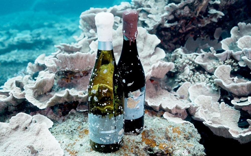 tlass SEA CELLAR -2024 1st Edition- 海底熟成赤ワイン 750ml×1本