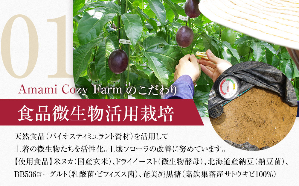 2026年先行受付【農薬・除草剤不使用】奄美大島産樹上完熟パッションフルーツ約１kg