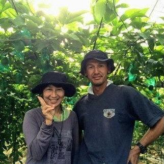 【先行受付】奄美大島産 パッションフルーツ ご家庭用5kg（41個以上）