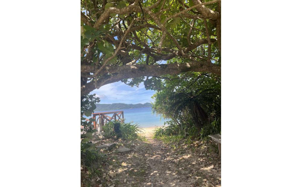 ihap scalp care lotion 200ml