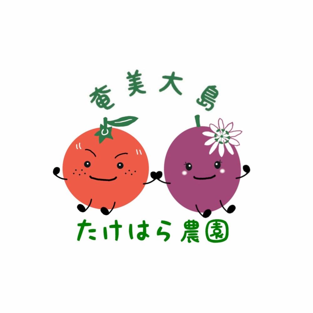 ★受付停止中★【2026年発送分 先行受付】パッションフルーツ 化粧箱12個入(L玉)【たけはら農園】