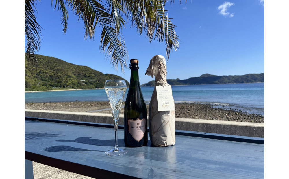 tlass SEA CELLAR -2025 2nd Edition- 海底熟成前後飲み比べスパークリング 750ml×2本