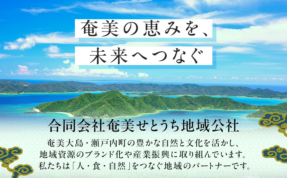 螂鄒弱″縺ウ驟「縲700mlテ3譛ャ