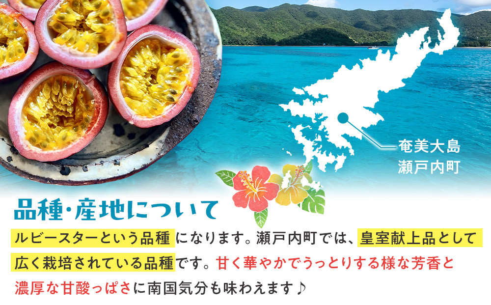 ã2026幎çºéããç宀ç®äžåç£å°ã®ããã·ã§ã³ãã«ãŒããå¥çŸå€§å³¶ç¬æžå
çºç£ã倧ç12åå
¥ãïŒçŽ1kg