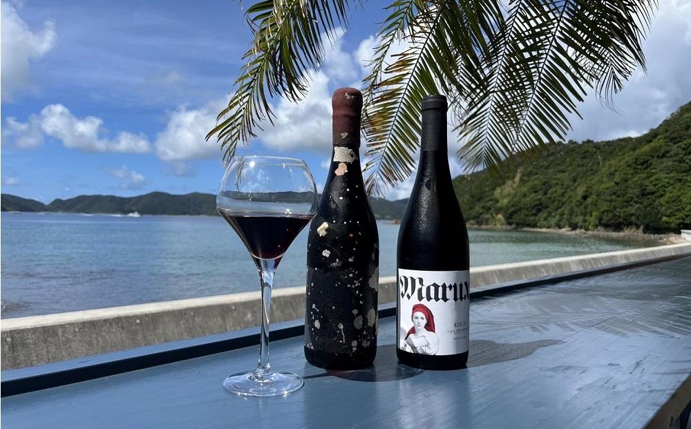 tlass SEA CELLAR -2024 1st Edition- 海底熟成赤ワイン 750ml×1本