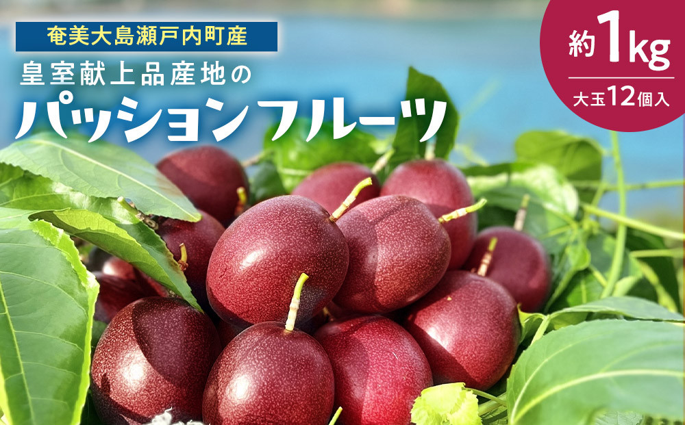【2026年発送】《皇室献上品産地のパッションフルーツ》奄美大島瀬戸内町産　大玉12個入り／約1kg