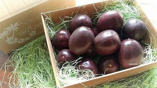 【先行受付】奄美大島産 パッションフルーツ ご家庭用5kg（41個以上）