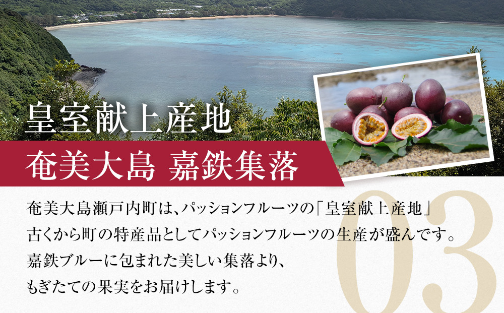 期間限定【農薬不使用】奄美大島 完熟パッションフルーツ3kg（農家直送）
