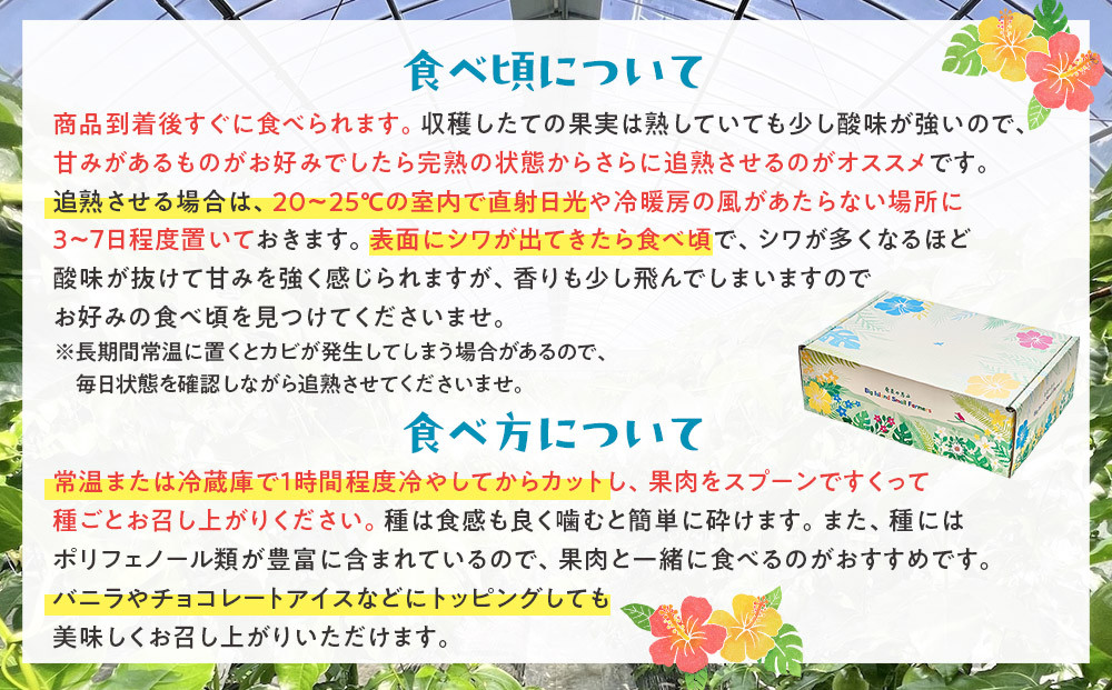 ã2026幎çºéããç宀ç®äžåç£å°ã®ããã·ã§ã³ãã«ãŒããå¥çŸå€§å³¶ç¬æžå
çºç£ã倧ç12åå
¥ãïŒçŽ1kg