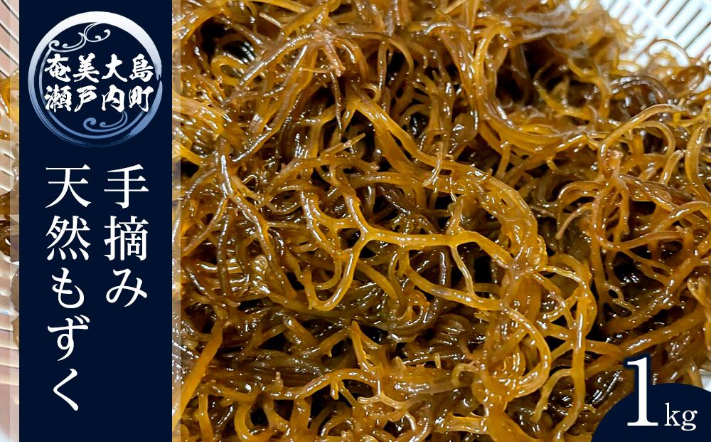 奄美大島瀬戸内町産　手摘み天然もずく 1Kg
