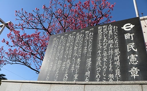 その他、この条例の目的達成に必要と町長が認める事業