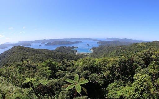 自然環境や景観の保全・再生に資する事業