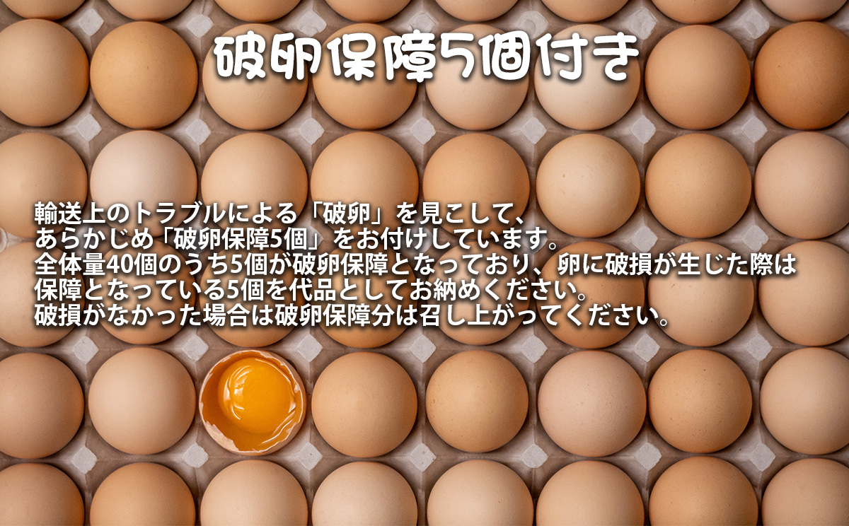 奄美大島の平飼い有精卵　40個入り 鹿児島県 奄美群島 奄美大島 龍郷町 国産 奄美産 たまご 卵 エッグ 有精卵 平飼い お取り寄せ