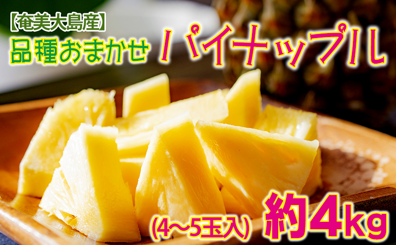 【奄美大島産】品種おまかせ パイナップル（約4kg・4～5玉入）