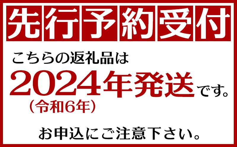【あたり果樹園】奄美パッションフルーツ 秀品2kg【2024年発送】