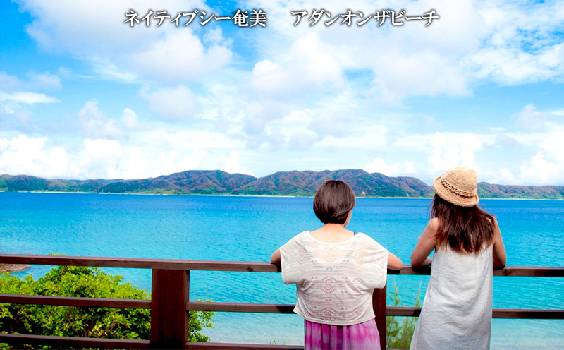 【奄美大島：龍郷町】しろくまツアーで利用可能なWEB旅行クーポン（300000円分）