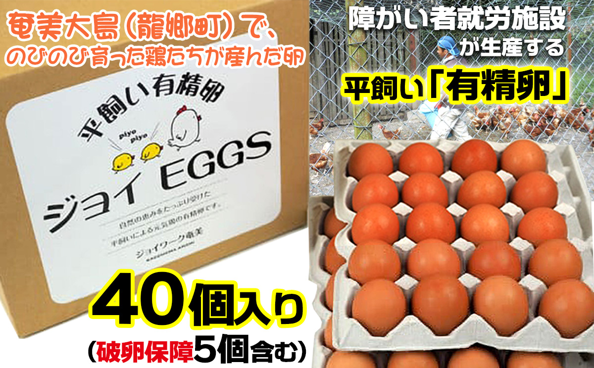 奄美大島の平飼い有精卵　40個入り 鹿児島県 奄美群島 奄美大島 龍郷町 国産 奄美産 たまご 卵 エッグ 有精卵 平飼い お取り寄せ
