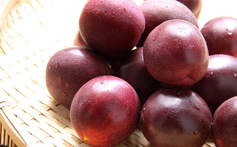 2026年発送【あたり果樹園】奄美パッションフルーツ 家庭用 約4kg 鹿児島県 奄美群島 奄美大島 龍郷町 国産 奄美産 果物 青果 くだもの フルーツ 南国 トロピカル 初夏の果実 果物時計草 さわやか 甘酸っぱい 家庭用 お取り寄せ 先行予約 数量限定