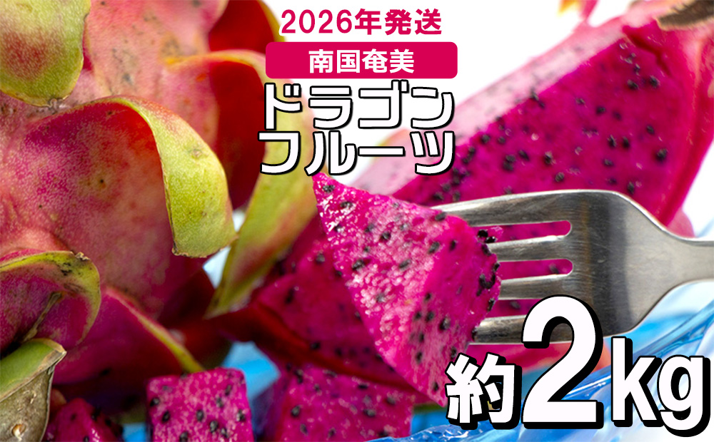 南国奄美のドラゴンフルーツ赤 約2kg（4～8玉入り）【2026年発送】 鹿児島県 奄美群島 奄美大島 龍郷町 国産 奄美産 青果 果実 果物 くだもの フルーツ デザート ピタヤ 火龍果 南国 トロピカル お取り寄せ 先行予約 期間限定 数量限定