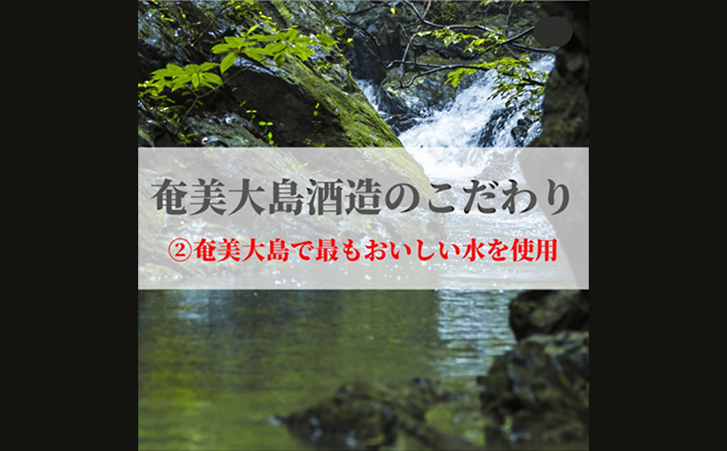 奄美黒糖焼酎 じょうご 25度（900ml×3本）