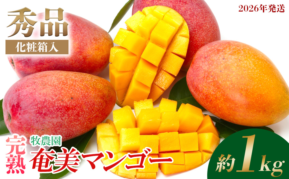【2026年発送】牧農園の完熟奄美マンゴー 秀品 約1kg（化粧箱入） 鹿児島県 奄美群島 奄美大島 龍郷町 国産 奄美産 青果 果物 くだもの フルーツ 南国 トロピカル デザート スイーツ 濃厚 とろける 甘い 農家直送 秀品 1kg