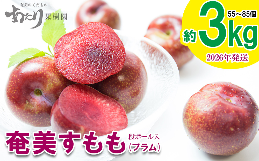 2026年発送【あたり果樹園】奄美大島産 すもも(プラム)約3kg 鹿児島県 奄美群島 奄美大島 龍郷町 国産 奄美産 青果 果物 くだもの フルーツ すもも スモモ プラム 南国 初夏の果実 甘酸っぱい お取り寄せ 先行予約 期間限定 数量限定