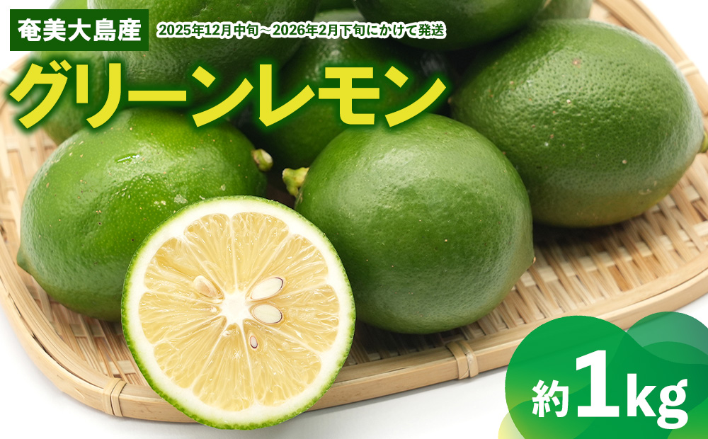 【あたり果樹園】奄美大島産 グリーンレモン 約1kg 鹿児島県 奄美群島 奄美大島 龍郷町 国産 奄美産 青果 果物 くだもの フルーツ レモン れもん 檸檬 ノーワックス フレッシュ まろやかな酸味 南国 お取り寄せ 期間限定 数量限定