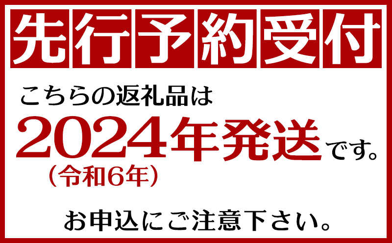 【奄美大島産】家庭用パッションフルーツ2kg【2024年発送】