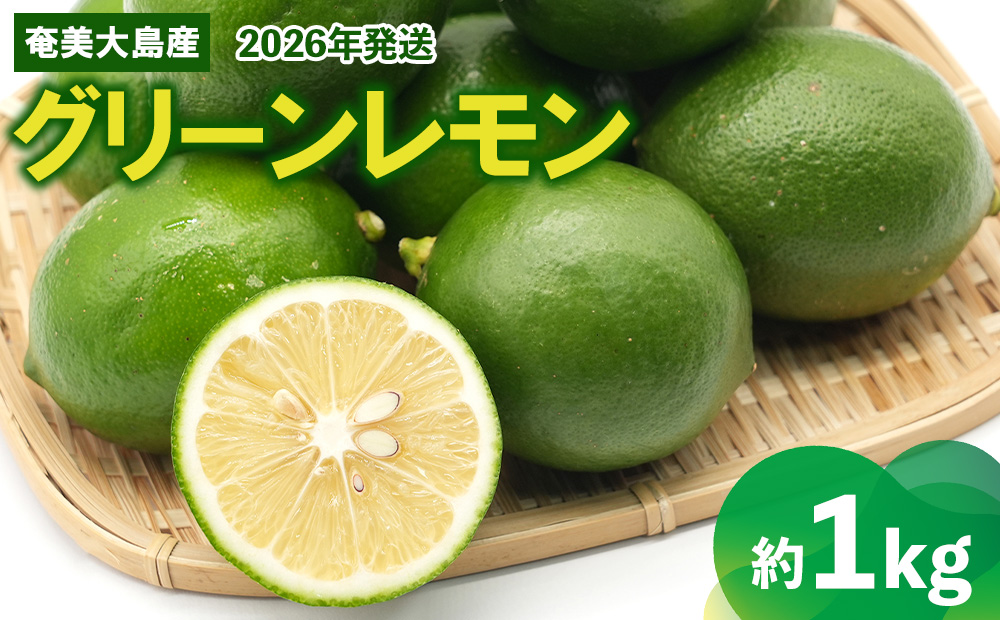 2026年発送【あたり果樹園】奄美大島産 グリーンレモン 約1kg 鹿児島県 奄美群島 奄美大島 龍郷町 国産 奄美産 青果 果物 くだもの フルーツ レモン れもん 檸檬 ノーワックス フレッシュ まろやかな酸味 南国 お取り寄せ 期間限定 数量限定