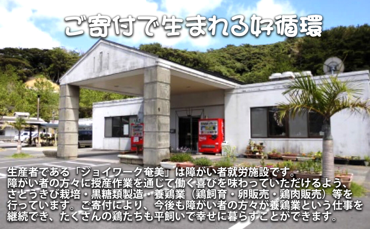 奄美大島の平飼い有精卵　40個入り 鹿児島県 奄美群島 奄美大島 龍郷町 国産 奄美産 たまご 卵 エッグ 有精卵 平飼い お取り寄せ