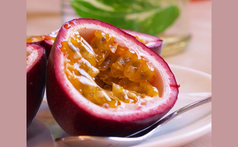 2026幎çºéãå¥çŸå€§å³¶ç£ãå®¶åºçšããã·ã§ã³ãã«ãŒã çŽ2kg 鹿å
å³¶ç å¥çŸçŸ€å³¶ å¥çŸå€§å³¶ éŸé·çº åœç£ å¥çŸç£ éæ æç© ãã ãã® ãã«ãŒã æç©æèšè ååœ ãããã«ã« åå€ã®æå® ãããã çé
žã£ã±ã å®¶åºçš ãåãå¯ã å
è¡äºçŽ æ°ééå®