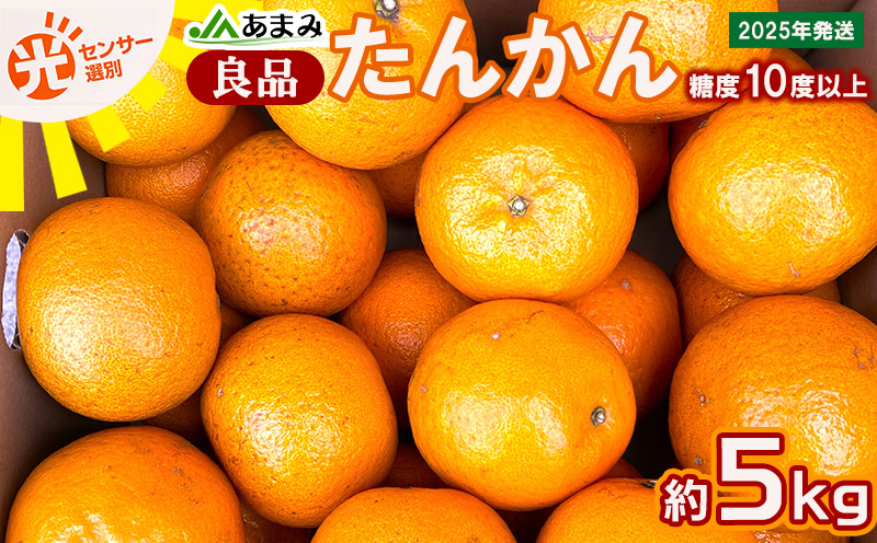 2025年発送【糖度10度以上】JAあまみ「良品」たんかん 約5kg 鹿児島県 奄美群島 奄美大島 龍郷町 国産 奄美産 青果 果物 くだもの フルーツ 柑橘 かんきつ みかん オレンジ ジューシー 光センサー選果 お取り寄せ 先行予約 期間限定 数量限定