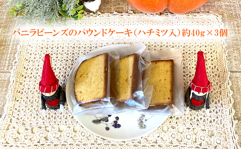 ★奄美の小さなケーキ屋さん★【アンスリール】焼菓子セット（15個入）