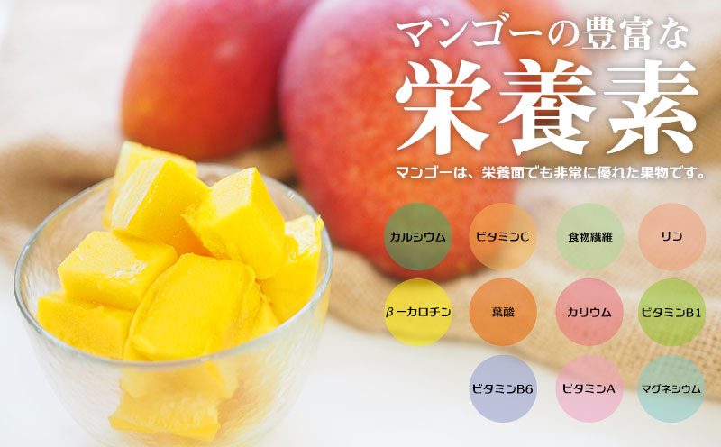 南国奄美の秀品アップルマンゴー 2kg【2024年発送】
