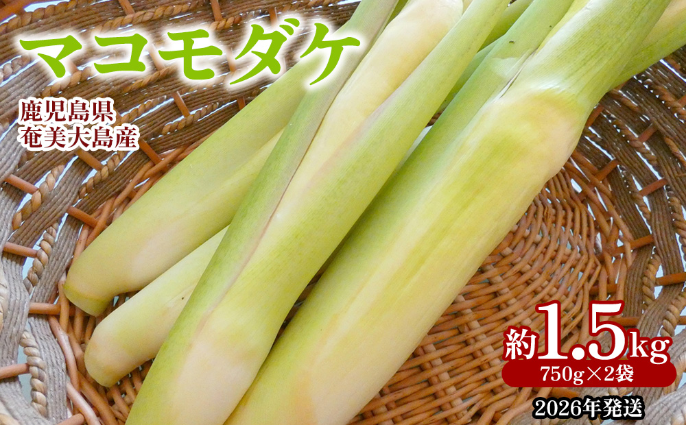 【2026年発送】奄美大島産 マコモダケ 約1.5kg（750g×2袋） 鹿児島県 奄美群島 奄美大島 龍郷町 奄美産 青果 野菜 マコモ マコモタケ マコモズミ 食物繊維 鉄分 カリウム 葉酸 低カロリー 天ぷら 炒め物 お取り寄せ 農家直送 小分け