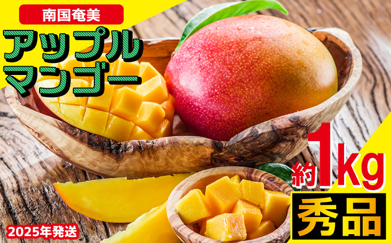 南国奄美の秀品アップルマンゴー 約1kg【2025年発送】 鹿児島県 奄美群島 奄美大島 龍郷町 国産 奄美産 青果 果物 くだもの フルーツ 南国 トロピカル デザート スイーツ 濃厚 とろける 甘い アップルマンゴー 秀品 1kg