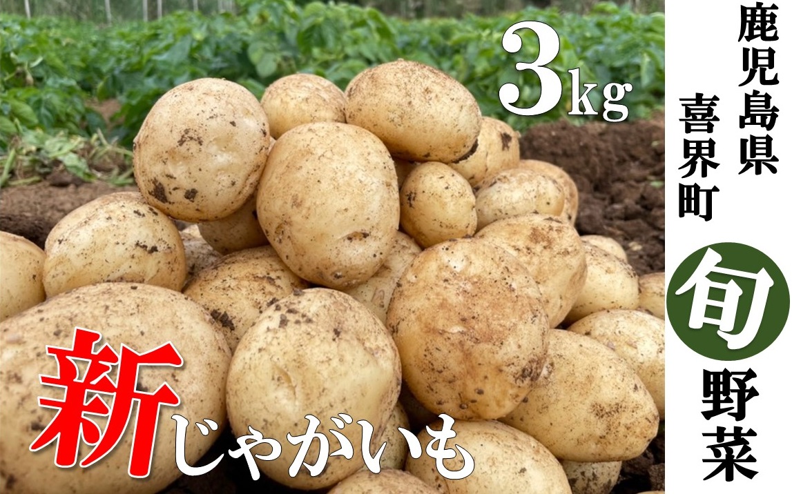 【2026年３月から発送】"サンゴの恵み" 新じゃがいも ３kg【大小混合】