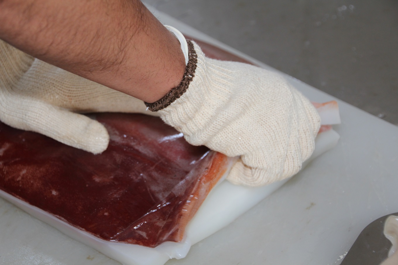 【2025年12月以降発送】【真空冷凍】夜光貝の刺身１ｋｇ・ソデイカ１ｋｇセット