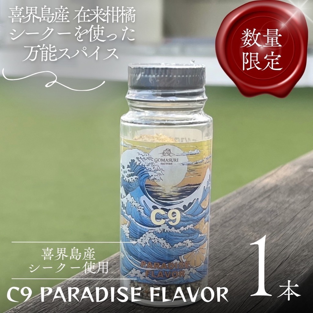 C9 PARADISE FLAVOR【万能スパイス】(35g×１本)