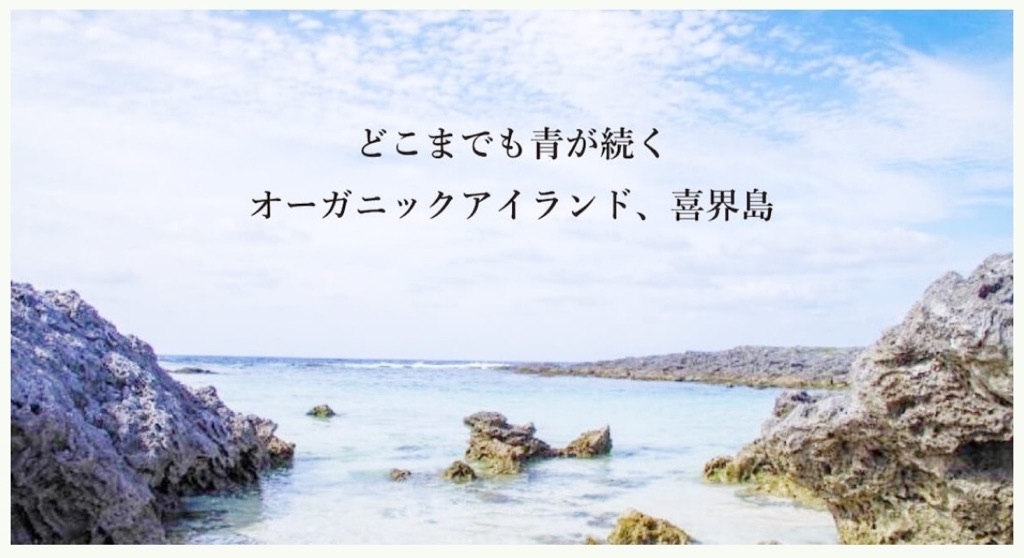 喜界島の長命草茶　ティーバック(２ｇ/10包入)×６袋
