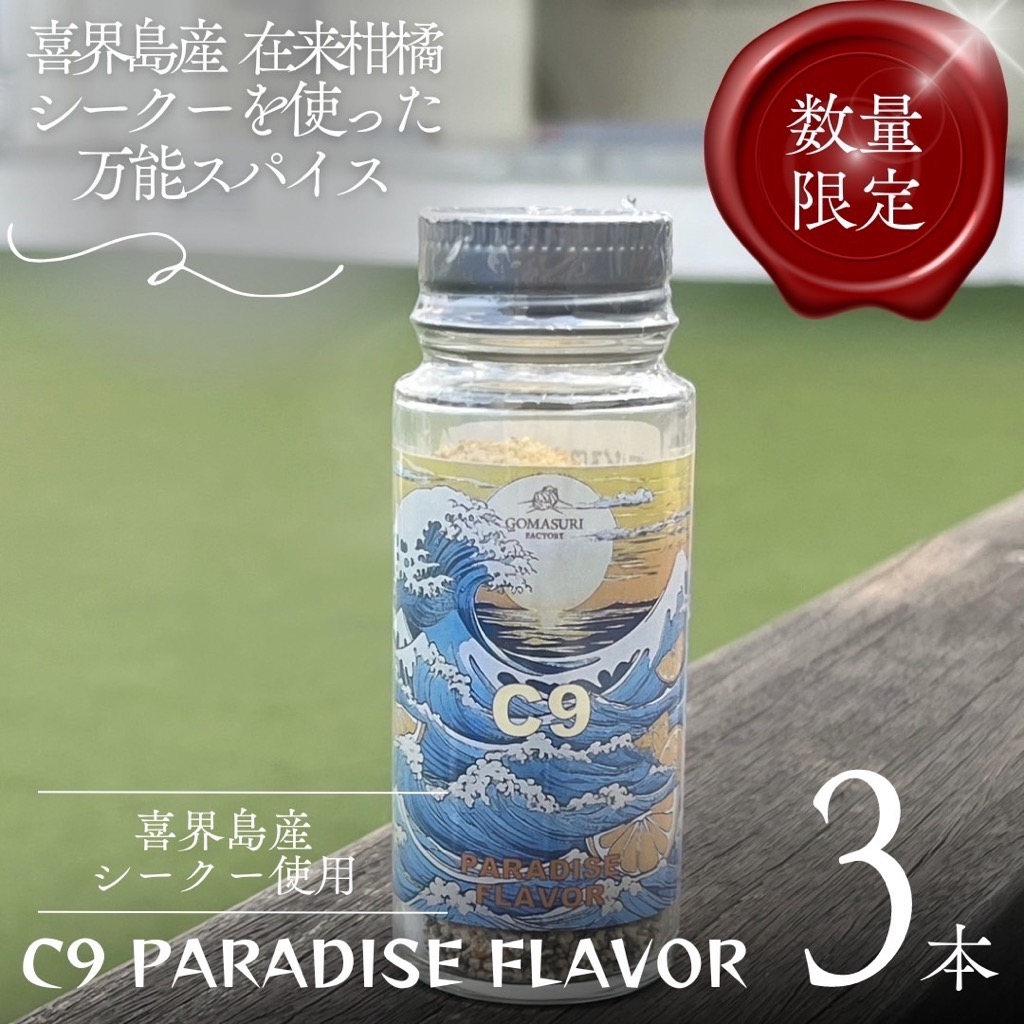 C9 PARADISE FLAVOR【万能スパイス】(35g×３本)