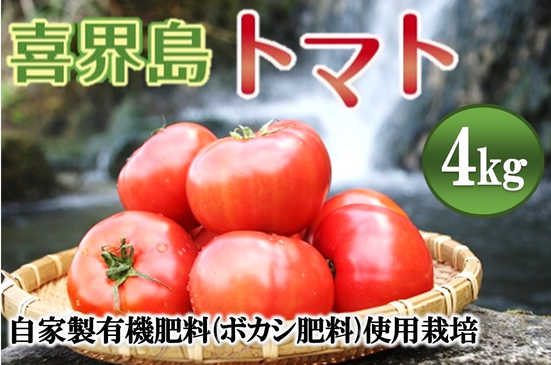 【2025年１月から発送】『喜界島トマト』自家製有機肥料(ボカシ)使用栽培　４kg