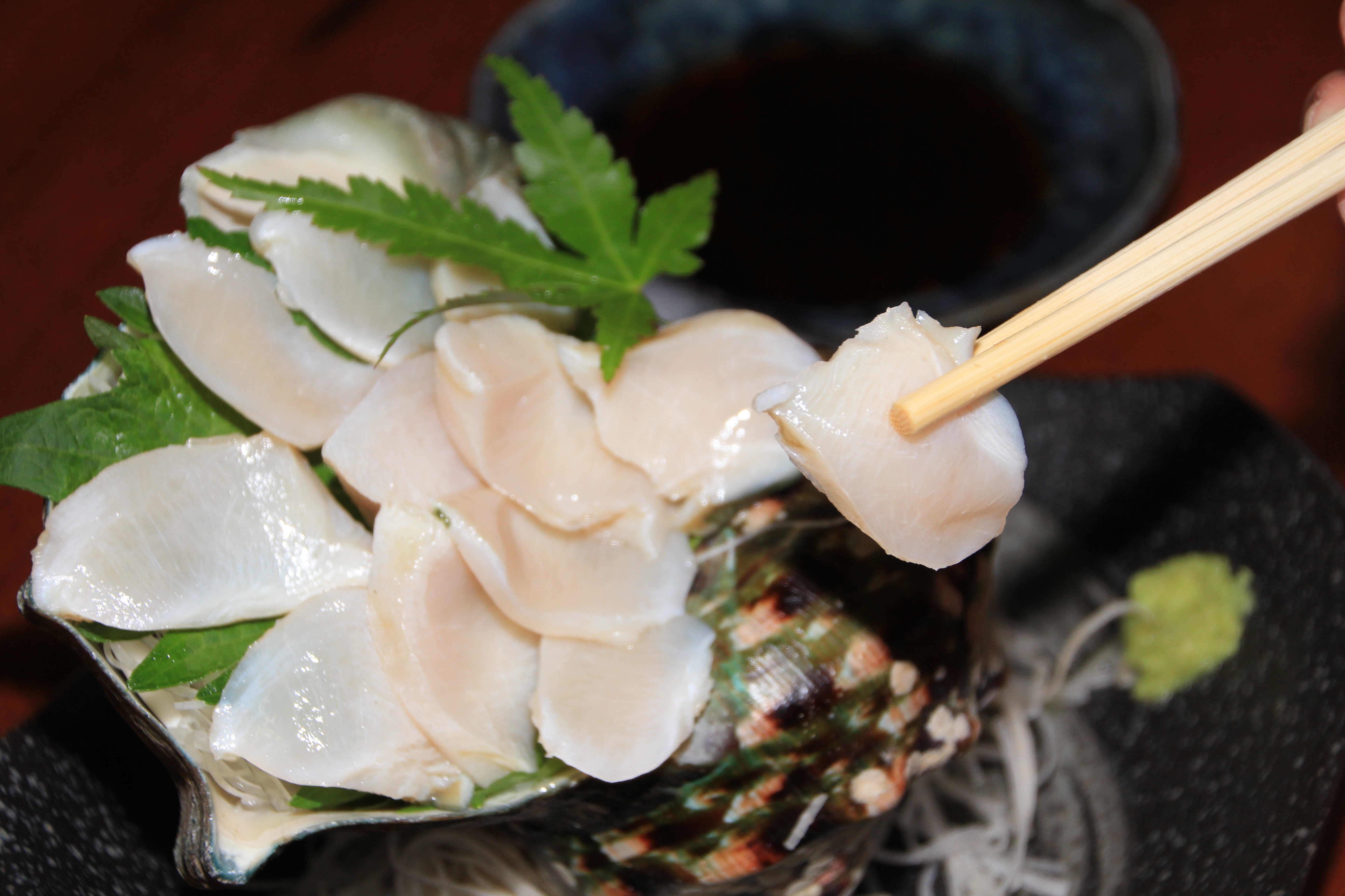 【2025年12月以降発送】【真空冷凍】夜光貝の刺身１ｋｇ・ソデイカ１ｋｇセット