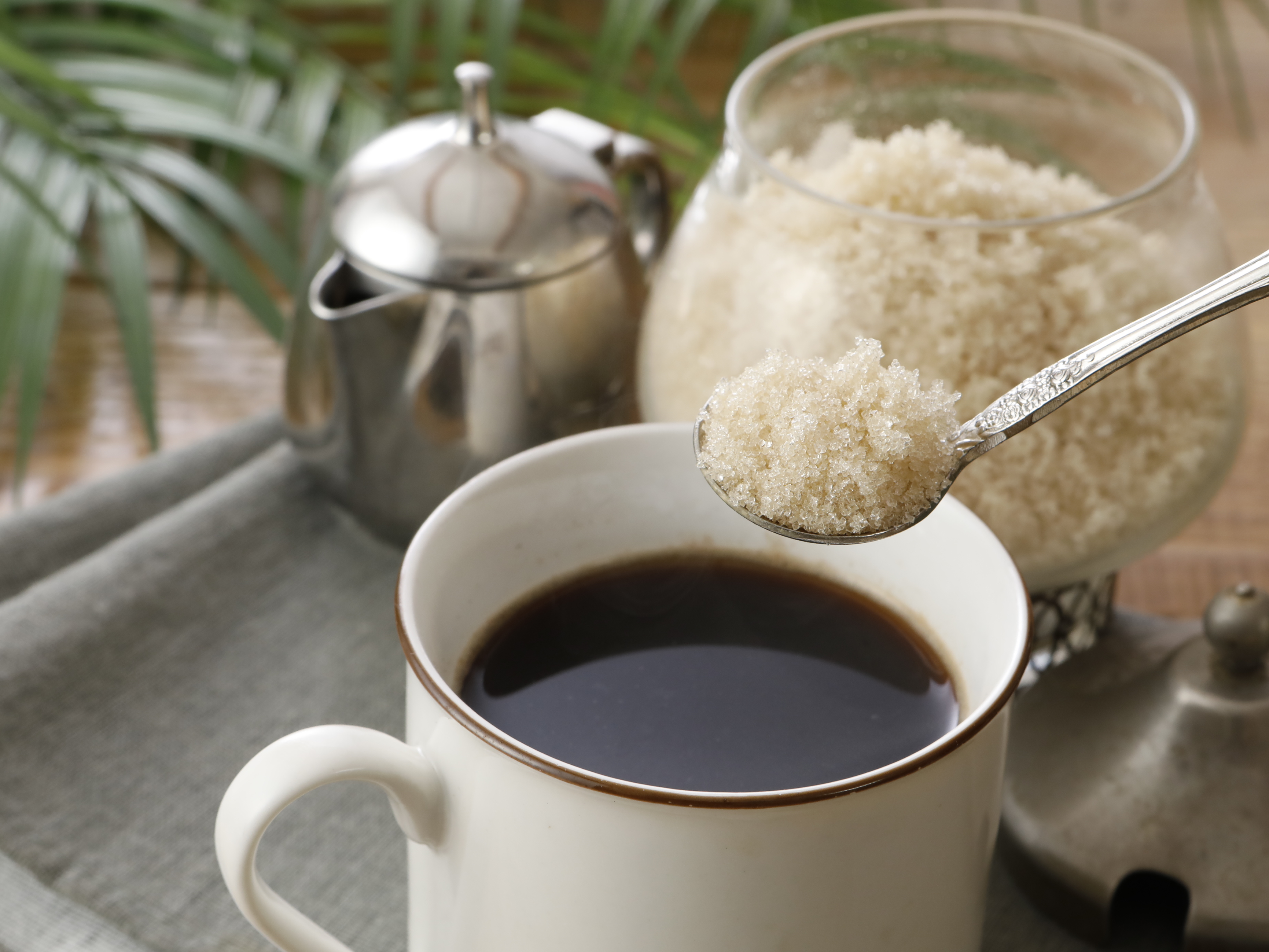 縲仙万逡悟ウカ逕」縲大ウカ繧カ繝ゥ繝。(邊礼ウ悶サ縺阪ウ遐らウ) 500g