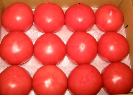 【2025年１月から発送】『喜界島トマト』自家製有機肥料(ボカシ肥料)使用栽培　２kg