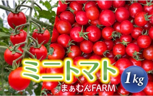 【2025年1月下旬以降発送開始】喜界島産ミニトマト　１kg【まぁむんFARM】