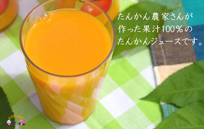 【2025年収穫！】完熟の幸せな甘み！徳之島たんかんジュース（3本） ( たんかん タンカン 果汁 柑橘 飲み物 ドリンク ジュース 徳之島 奄美 鹿児島 美味しい 直島果樹園 )